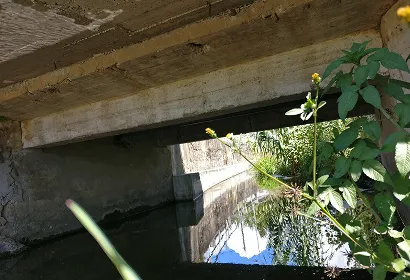 Estudo Hidrológico e Hidráulico da Ribeira de Algés